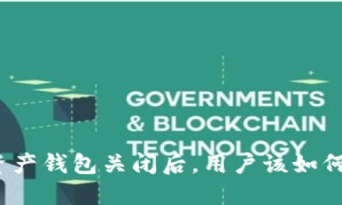 数字资产钱包关闭后，用户该如何应对？