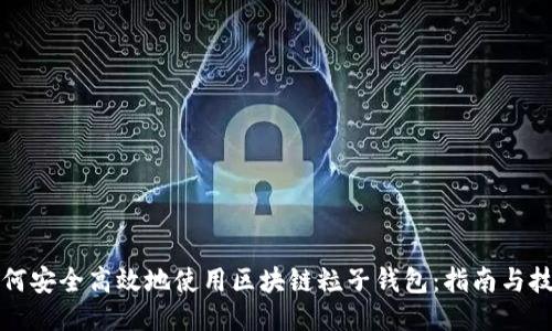 如何安全高效地使用区块链粒子钱包：指南与技巧