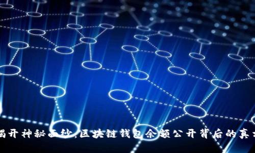 揭开神秘面纱：区块链钱包余额公开背后的真相