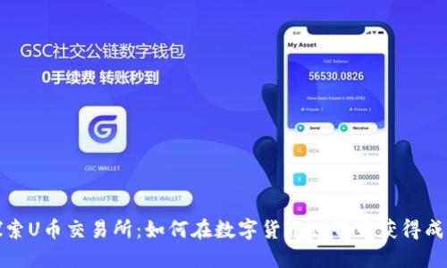 探索U币交易所：如何在数字货币世界中获得成功