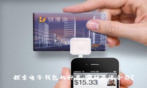探索电子钱包的种类：哪种最适合你？