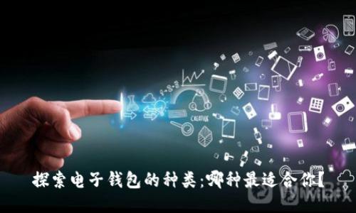 探索电子钱包的种类：哪种最适合你？