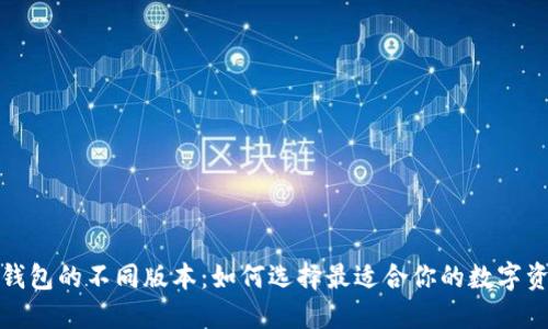 探索区块链钱包的不同版本：如何选择最适合你的数字资产管理工具