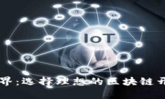 开启数字货币世界：选择理想的区块链开发数字
