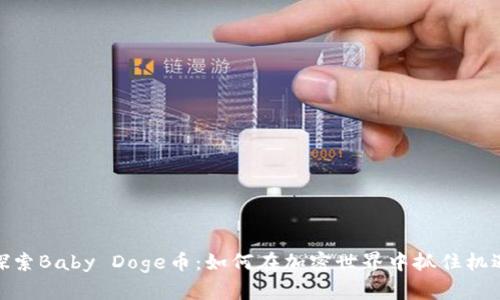 探索Baby Doge币：如何在加密世界中抓住机遇