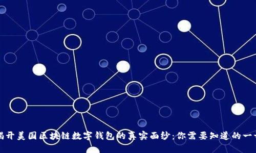 揭开美国区块链数字钱包的真实面纱：你需要知道的一切