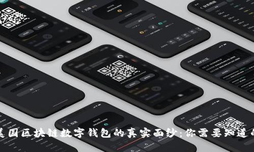揭开美国区块链数字钱包的真实面纱：你需要知道的一切