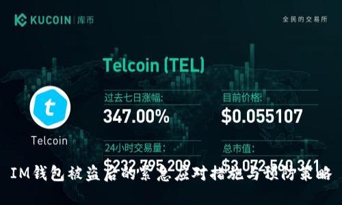 IM钱包被盗后的紧急应对措施与预防策略