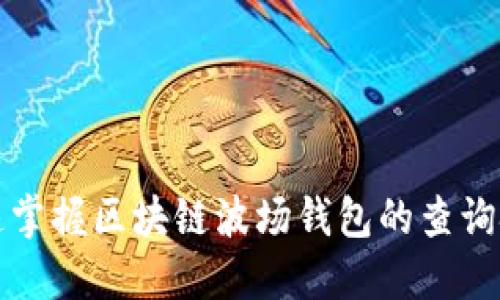 快速掌握区块链波场钱包的查询技巧
