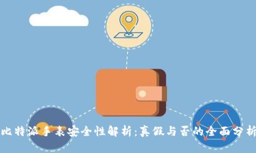 比特派手表安全性解析：真假与否的全面分析