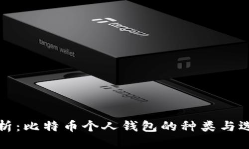 全面解析：比特币个人钱包的种类与选择指南