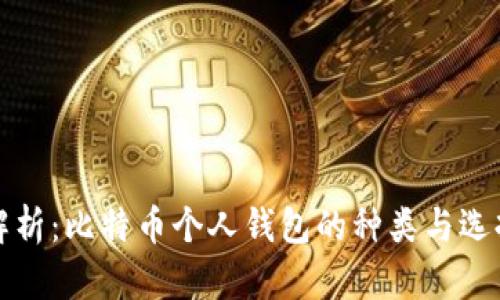 全面解析：比特币个人钱包的种类与选择指南