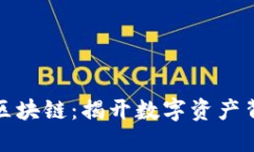 加密货币区块链：揭开数字资产背后的秘密