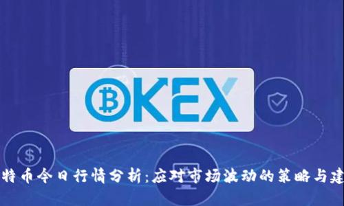 莱特币今日行情分析：应对市场波动的策略与建议