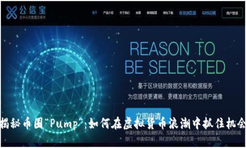 揭秘币圈“Pump”：如何在虚拟货币浪潮中抓住机会