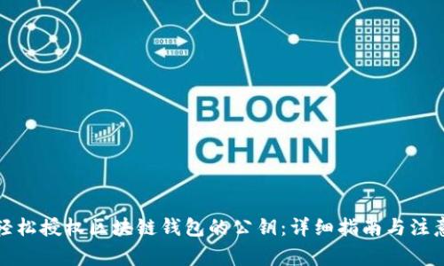 如何轻松授权区块链钱包的公钥：详细指南与注意事项