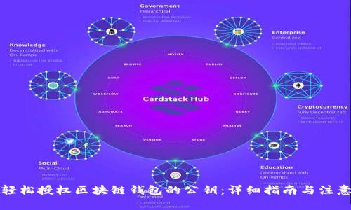 如何轻松授权区块链钱包的公钥：详细指南与注意事项