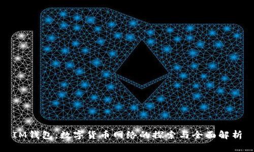 IM钱包：数字货币网络的探索与全面解析