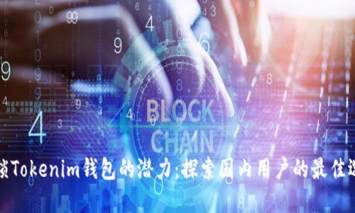 解锁Tokenim钱包的潜力：探索国内用户的最佳选择