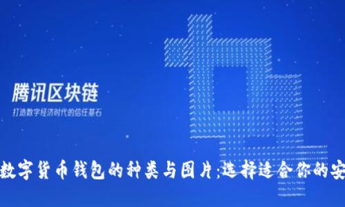 : 探索数字货币钱包的种类与图片：选择适合你的安全方案