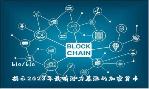 bio/bio

揭示2023年最有潜力暴涨的加密货币