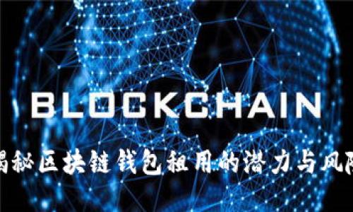揭秘区块链钱包租用的潜力与风险