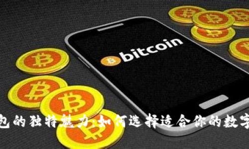 探索区块链钱包的独特魅力：如何选择适合你的数字资产管理工具