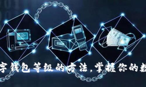 轻松查看数字钱包等级的方法，掌握你的数字资产状态