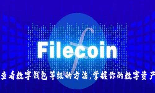 轻松查看数字钱包等级的方法，掌握你的数字资产状态