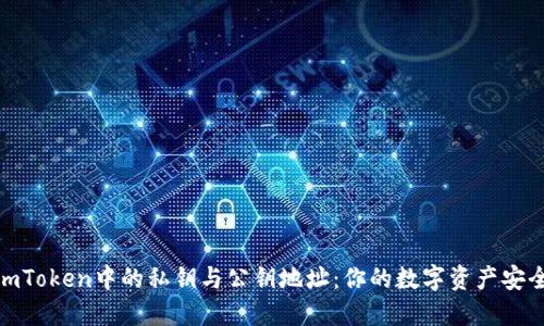 探索imToken中的私钥与公钥地址：你的数字资产安全之道