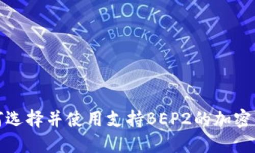 如何选择并使用支持BEP2的加密钱包