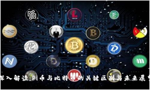 深入解读：Pi币与比特币的关键区别与未来展望