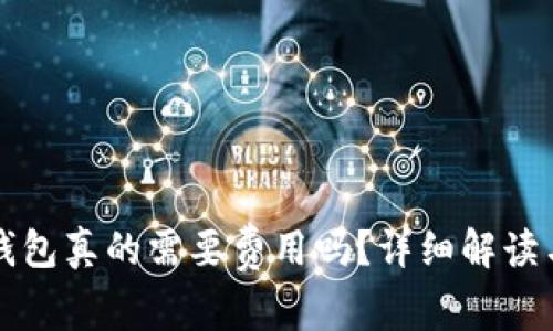 开通数字钱包真的需要费用吗？详细解读与实用指南