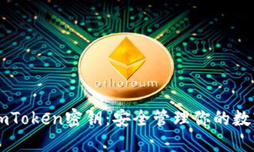 掌握imToken密钥：安全管理你的数字资产