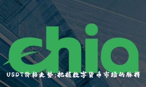 USDT价格走势：把握数字货币市场的脉搏