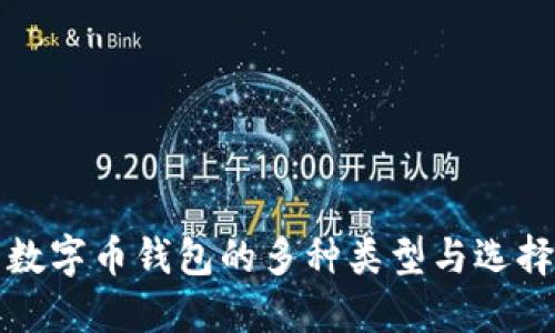 探索数字币钱包的多种类型与选择指南