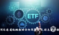 如何迅速有效地找回你的钱包密码，避免资产损