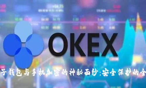揭开电子钱包与手机加密的神秘面纱：安全保护的全面解析