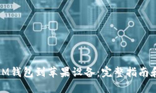 轻松下载IM钱包到苹果设备：完整指南和实用技巧