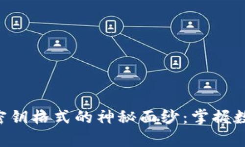 揭开imToken有效密钥格式的神秘面纱：掌握数字资产管理的关键