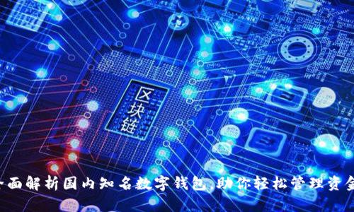 全面解析国内知名数字钱包，助你轻松管理资金!