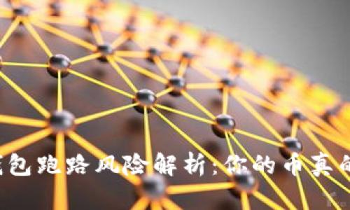 虚拟货币钱包跑路风险解析：你的币真的会消失吗？
