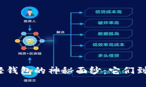 揭开区块链与轻钱包的神秘面纱：它们到底有什么区别？