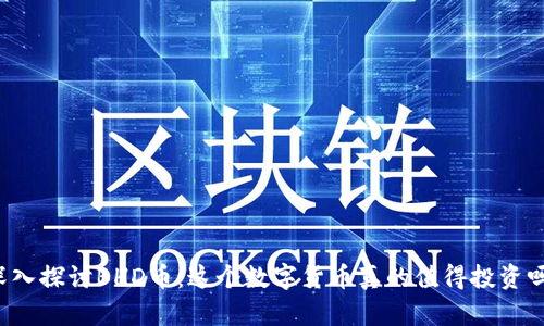 深入探讨BHD币：这个数字货币真的值得投资吗？