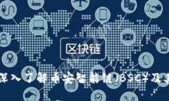 BSC钱包：深入了解币安智能链（BSC）及其钱包选