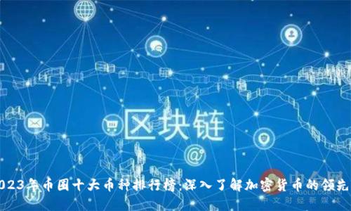 2023年币圈十大币种排行榜：深入了解加密货币的领先者