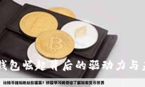 区块链钱包崛起背后的驱动力与未来展望