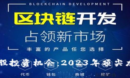 掌握区块链股投资机会：2023年顶尖龙头股票排名