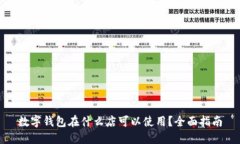 数字钱包在什么店可以使用？全面指南