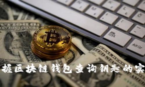迅速掌握区块链钱包查询钥匙的实用指南